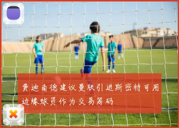 费迪南德建议曼联引进斯密特可用边缘球员作为交易筹码