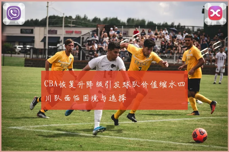 CBA恢复升降级引发球队价值缩水四川队面临困境与选择